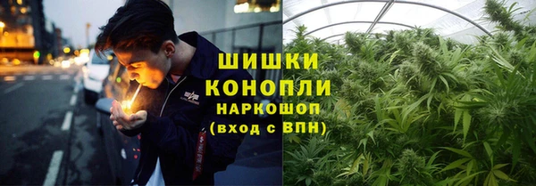 mdpv Богданович