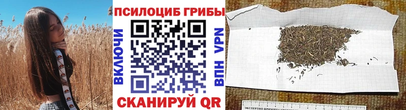 Псилоцибиновые грибы мицелий  Краснознаменск 